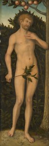 Adam by Lucas Cranach the Elder